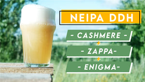 NEIPA n°1 DDH ZAPPA-CASHMERE-ENIGMA