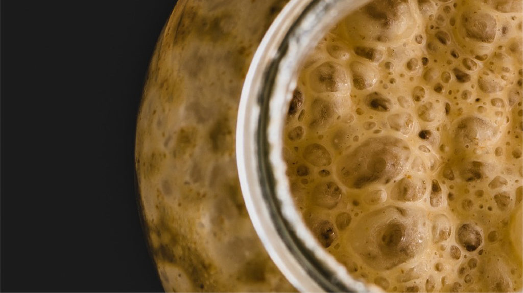 Comment choisir sa levure pour brasser sa bière ?