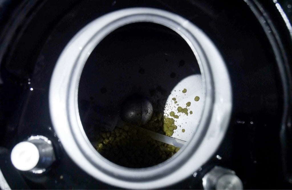Dry Hop : le guide ultime du houblonnage à cru — timing, température, dosage… et pièges à éviter