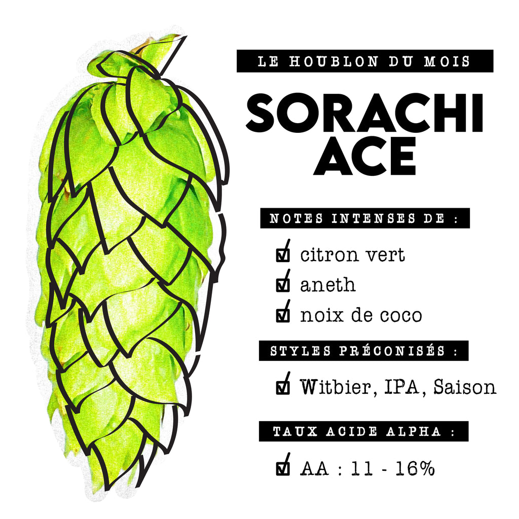 Houblon Sorachi Ace : un ingrédient unique pour des bières exceptionnelles