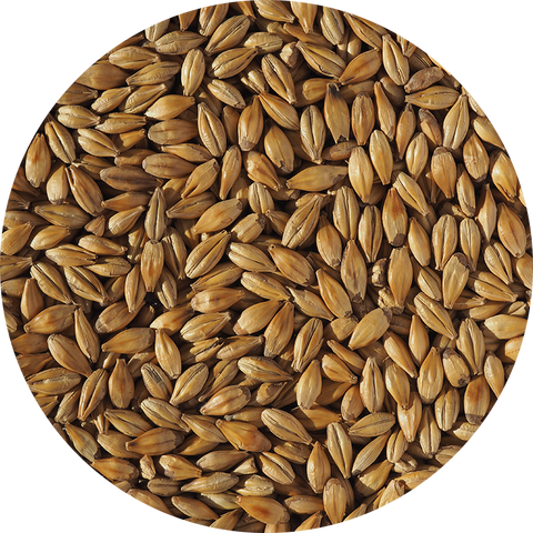 CRISP CARA GOLD 15 EBC