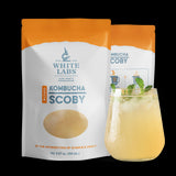 WLP600 KOMBUCHA CULTURES