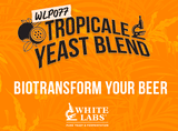 WLP077 TROPICALE YEAST BLEND