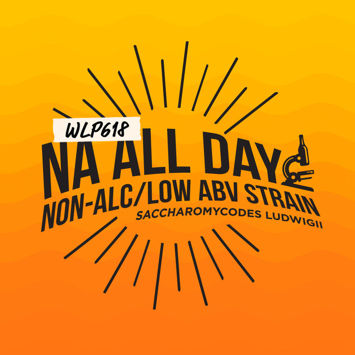 WLP618 NA ALL DAY