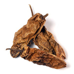 PIMENT CHIPOTLE
