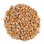 Dingemans Wheat (Malt Froment) 3 EBC