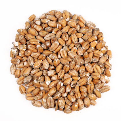 Dingemans Wheat (Malt Froment) 3 EBC