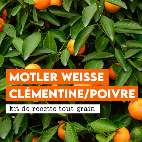 MOTLER WEISSE COLLABORATION YOUTUBE - KIT DE RECETTE TOUT-GRAIN